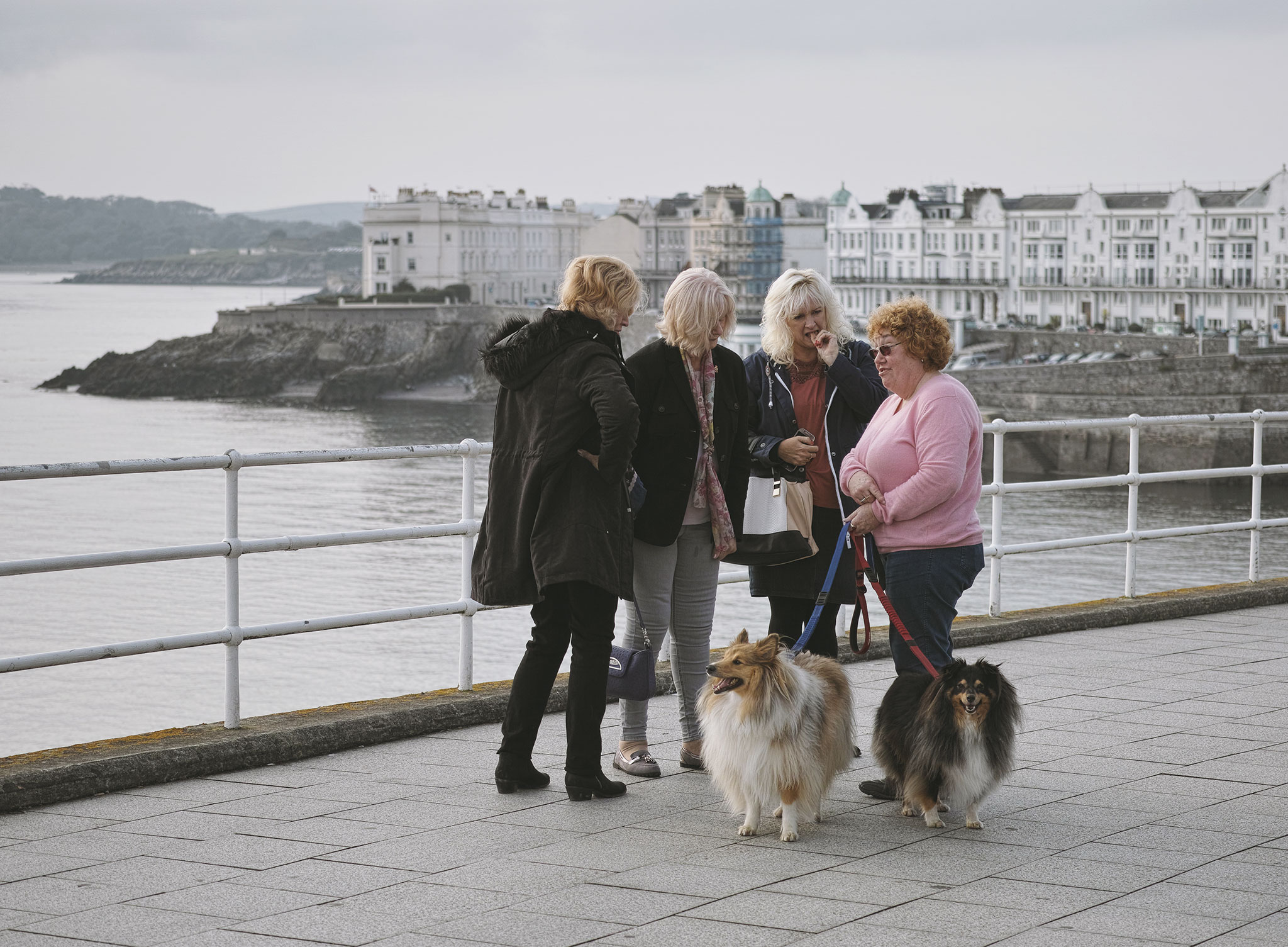 Lady walking her dogs on Plymouth Hoe