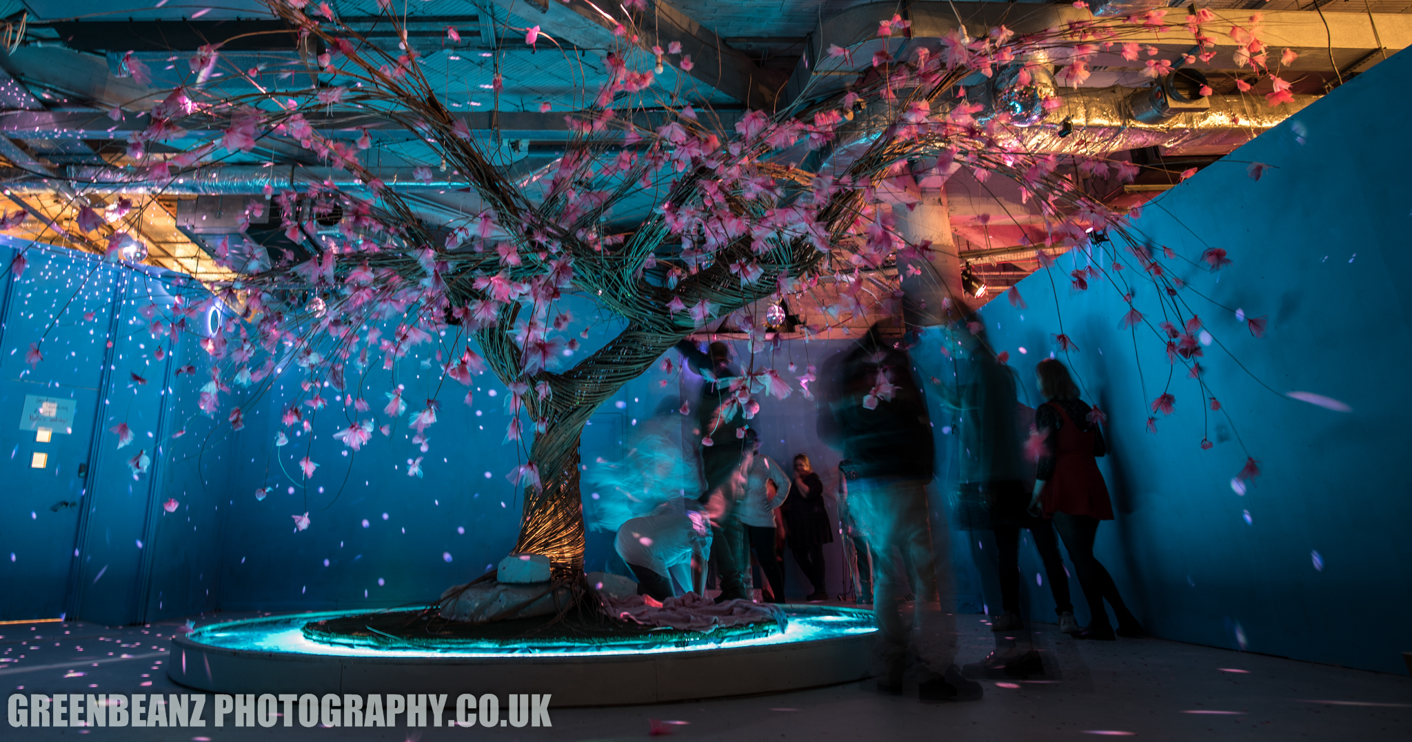 The 'Breathe' installation by Effervescent at the Radiant Gallery in Plymouth