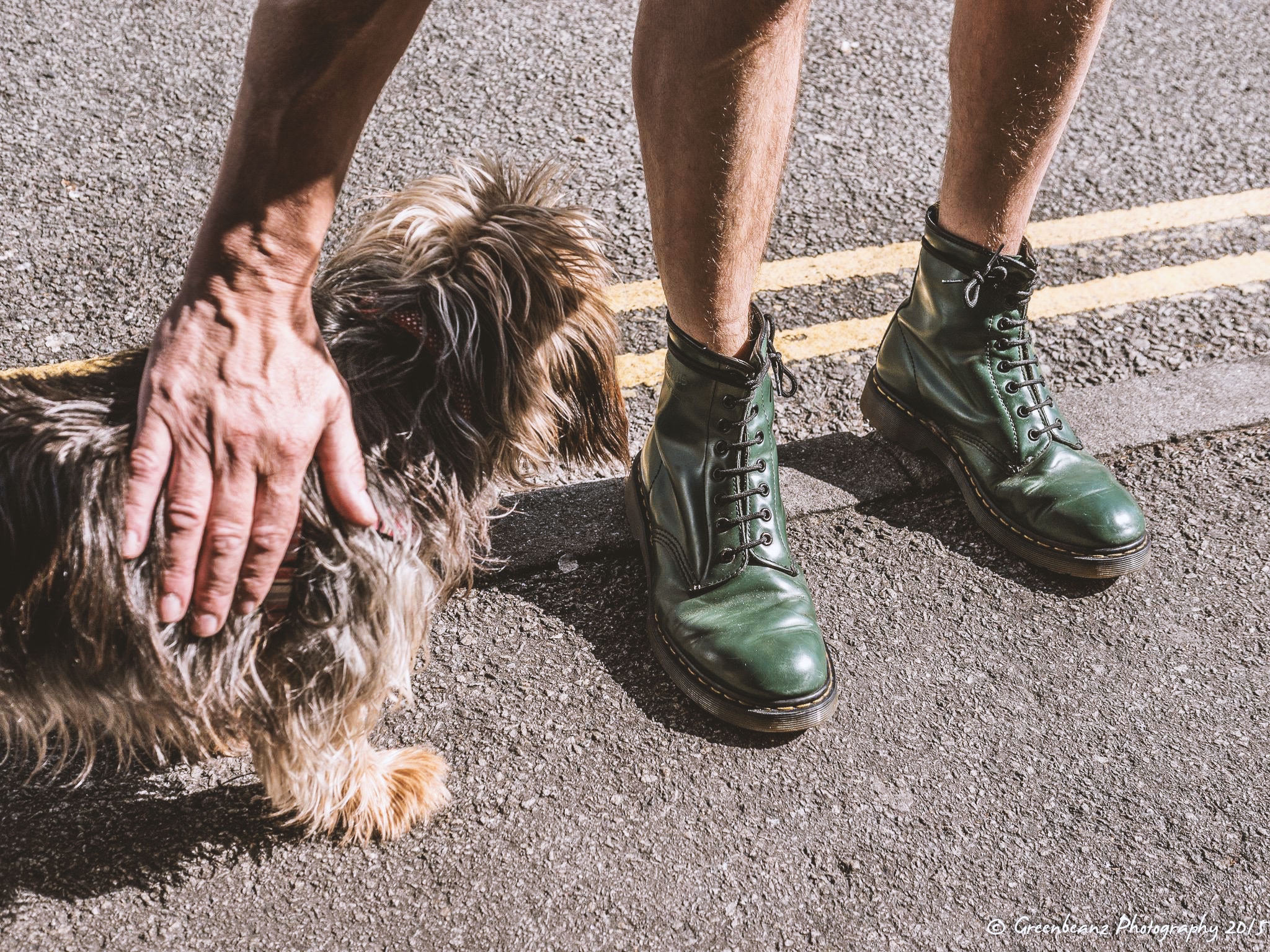 Dans dog with Gary's Green Doctor Martin Boots