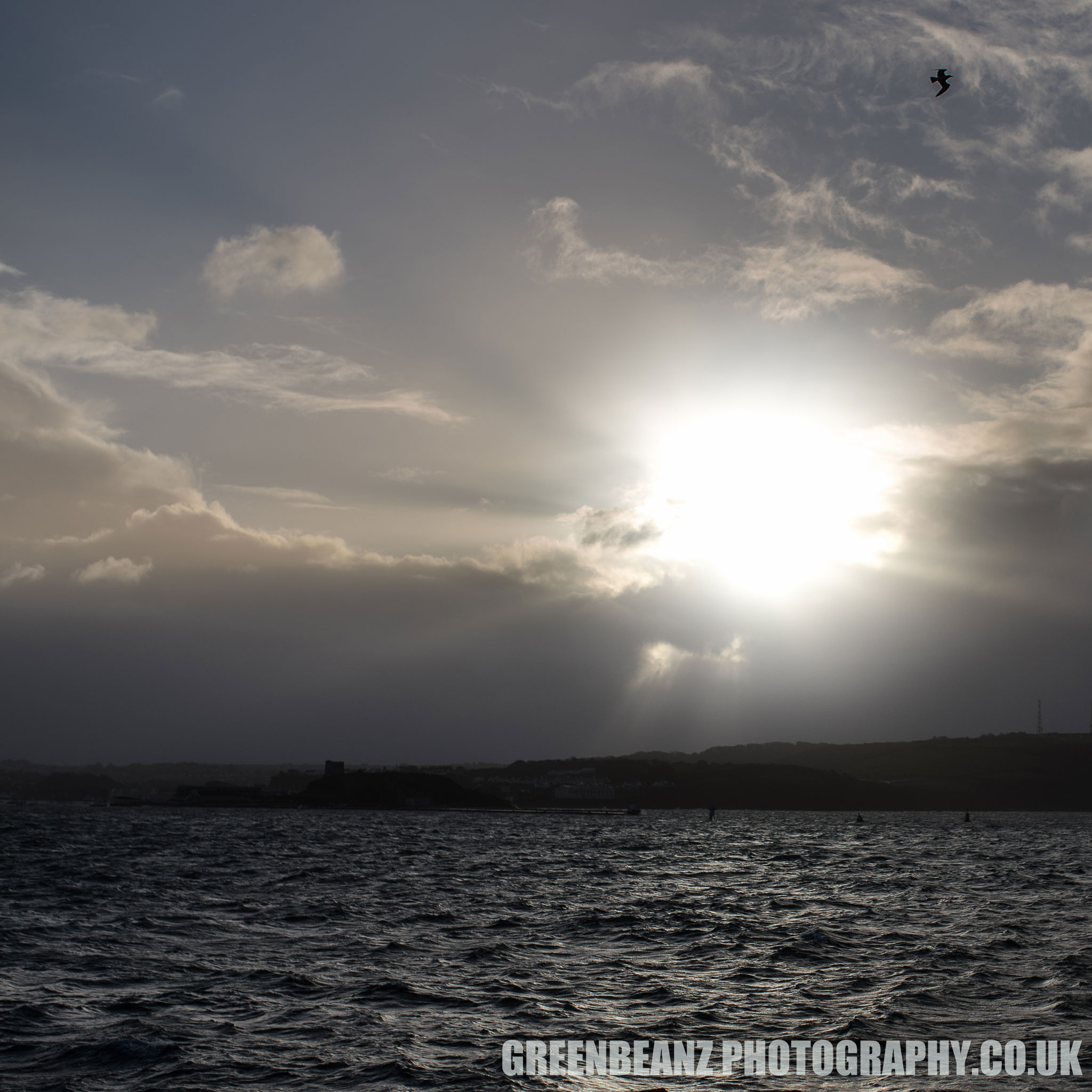 Calm seas after a storm on Plymouth Hoe sun and bird 