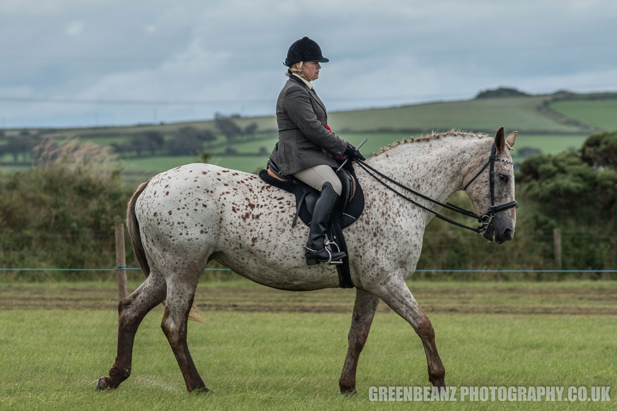 Horse and Rider Photography at Cornish Farm Show