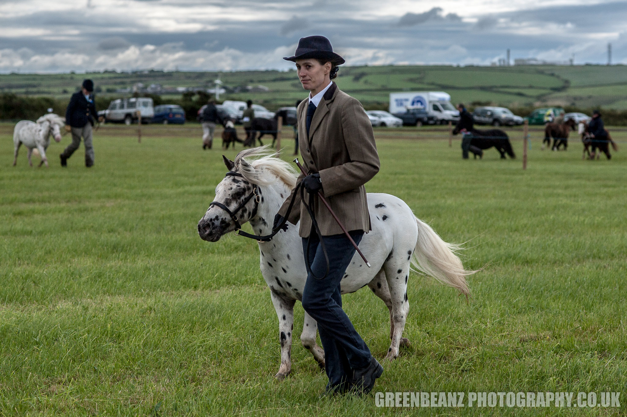 Cornwall Pony Photography