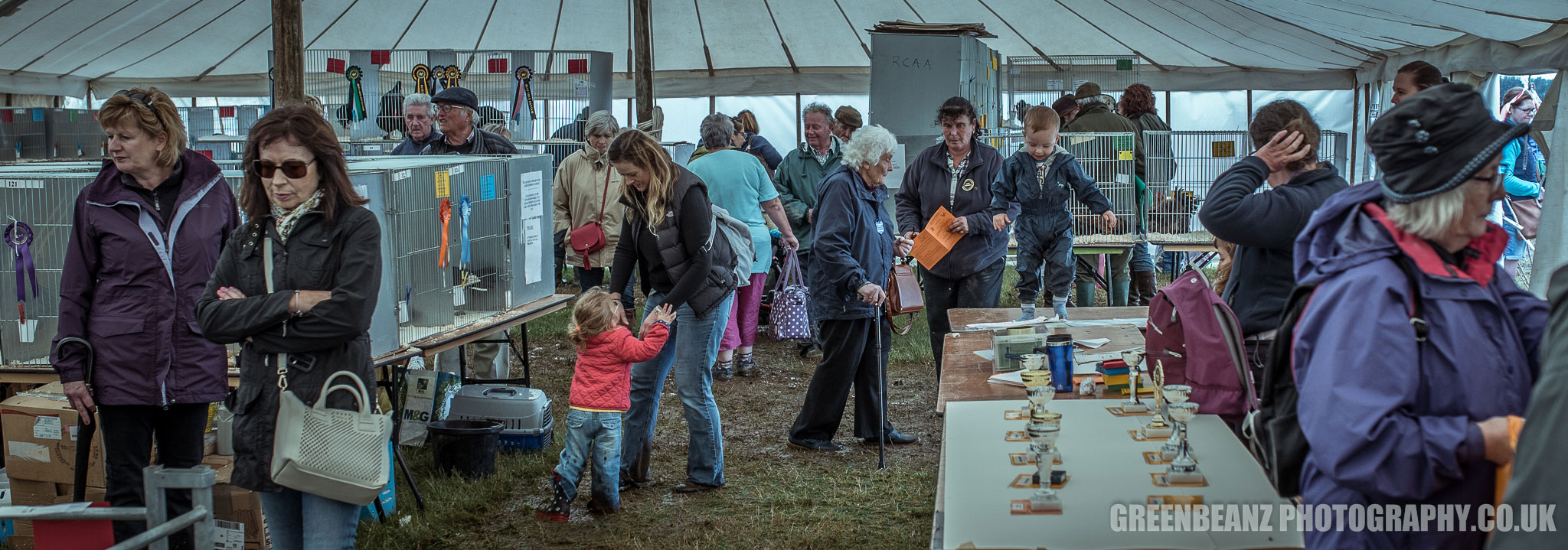 Camelford Show Poultry tent