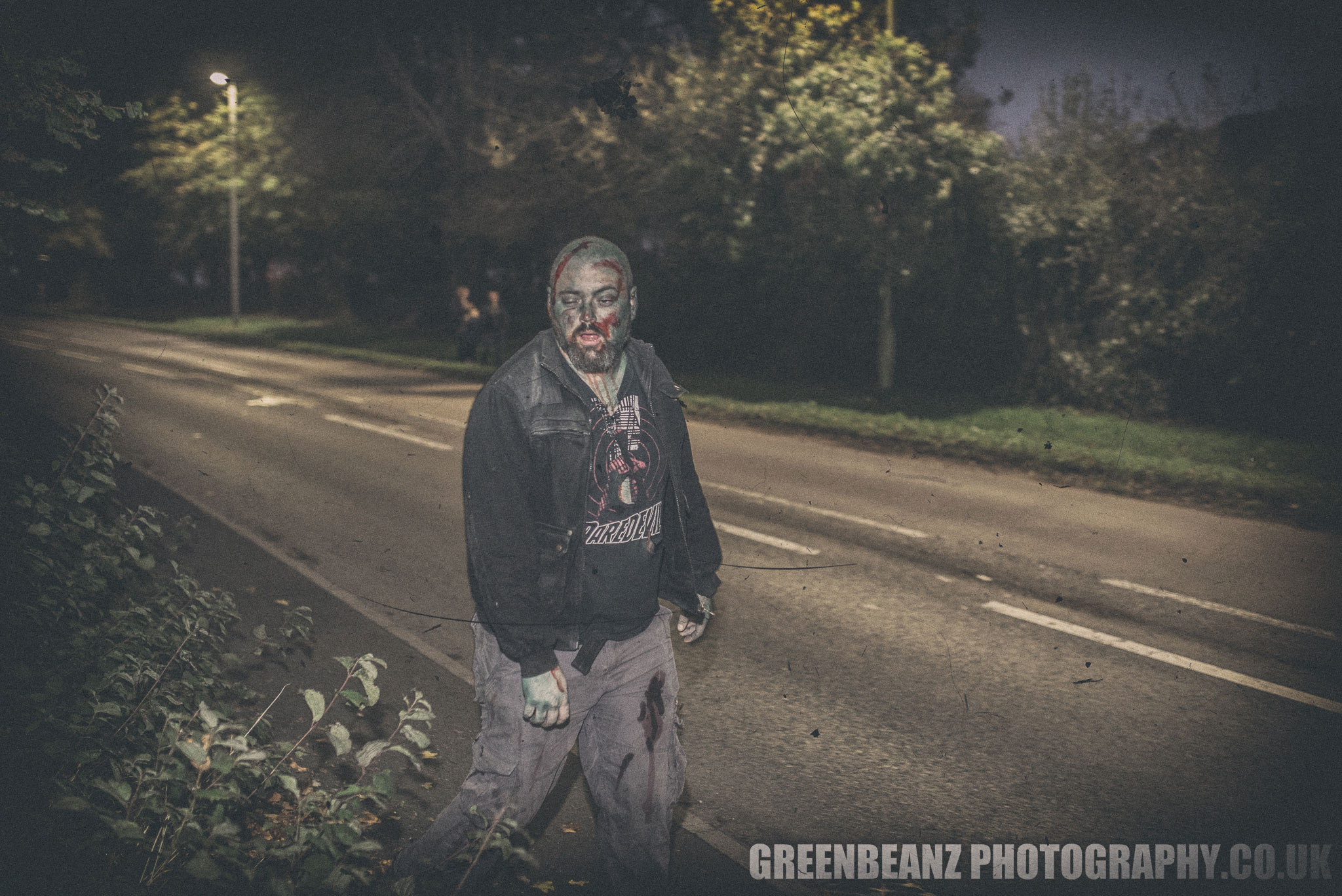 Ivybridge roadside Zombie Walker October 2017